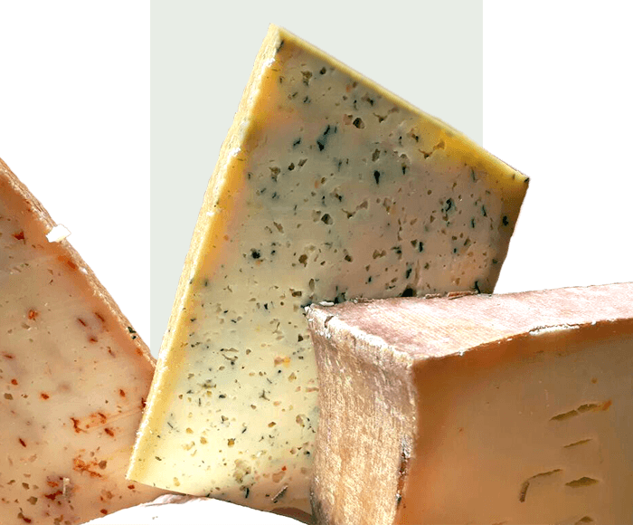 Silvia Engel: Ernährungsberaterin / Ernährungstherapie